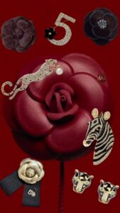 587695977_1128263896051485_8752085560366660713_n