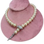 Photoroom_20251031_193905