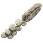 Photoroom_20251104_155933