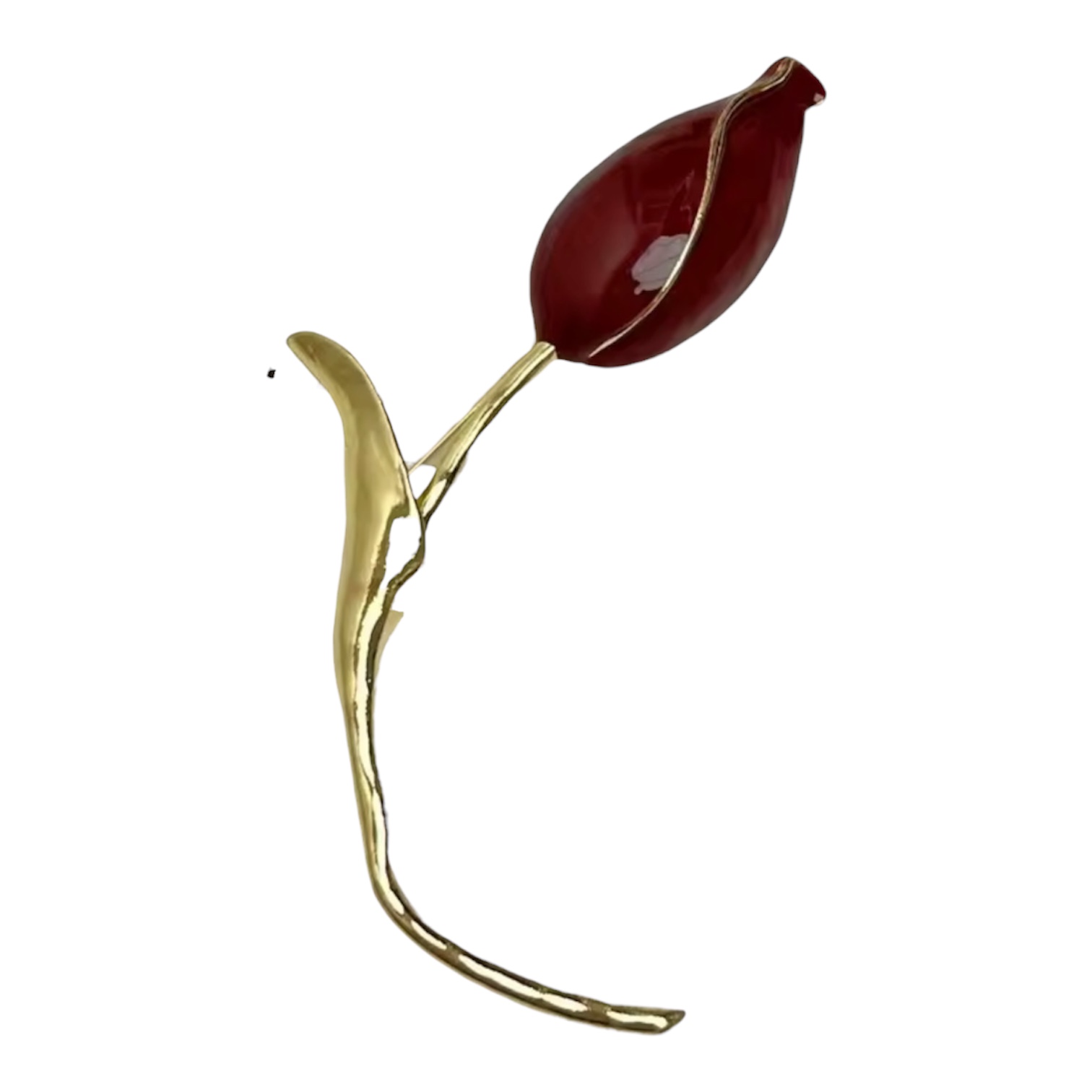 Photoroom_20251202_184034