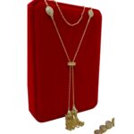 Photoroom_20251204_193658