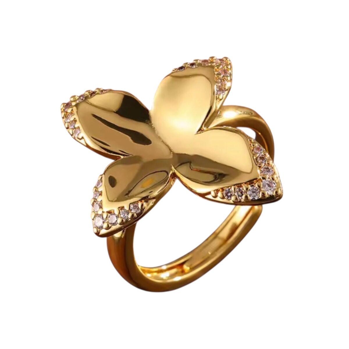 Photoroom_20251212_174518