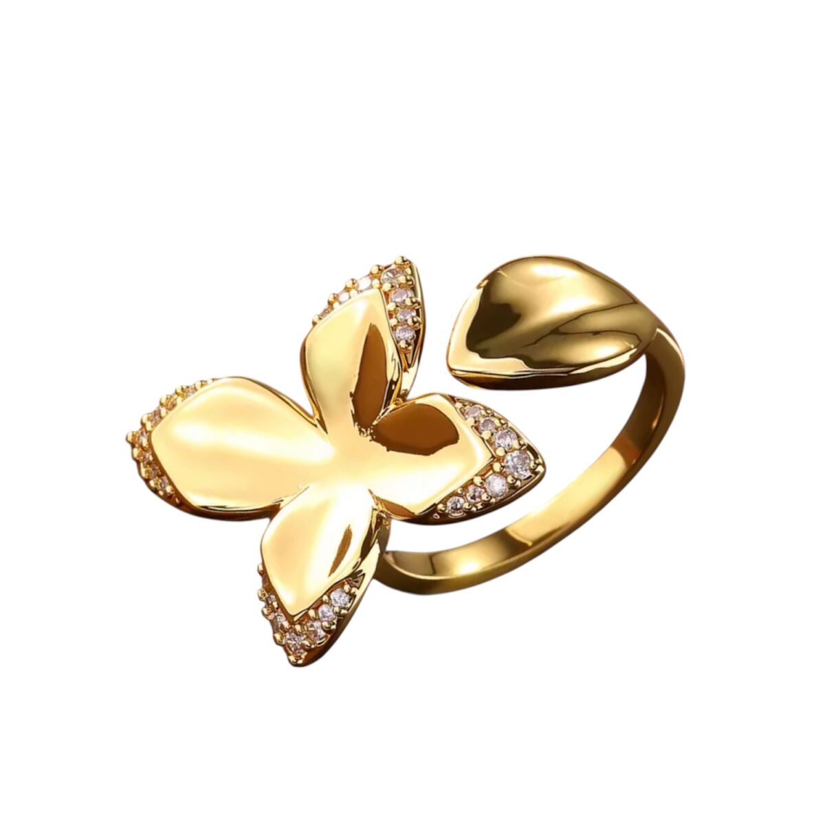 Photoroom_20251212_174544