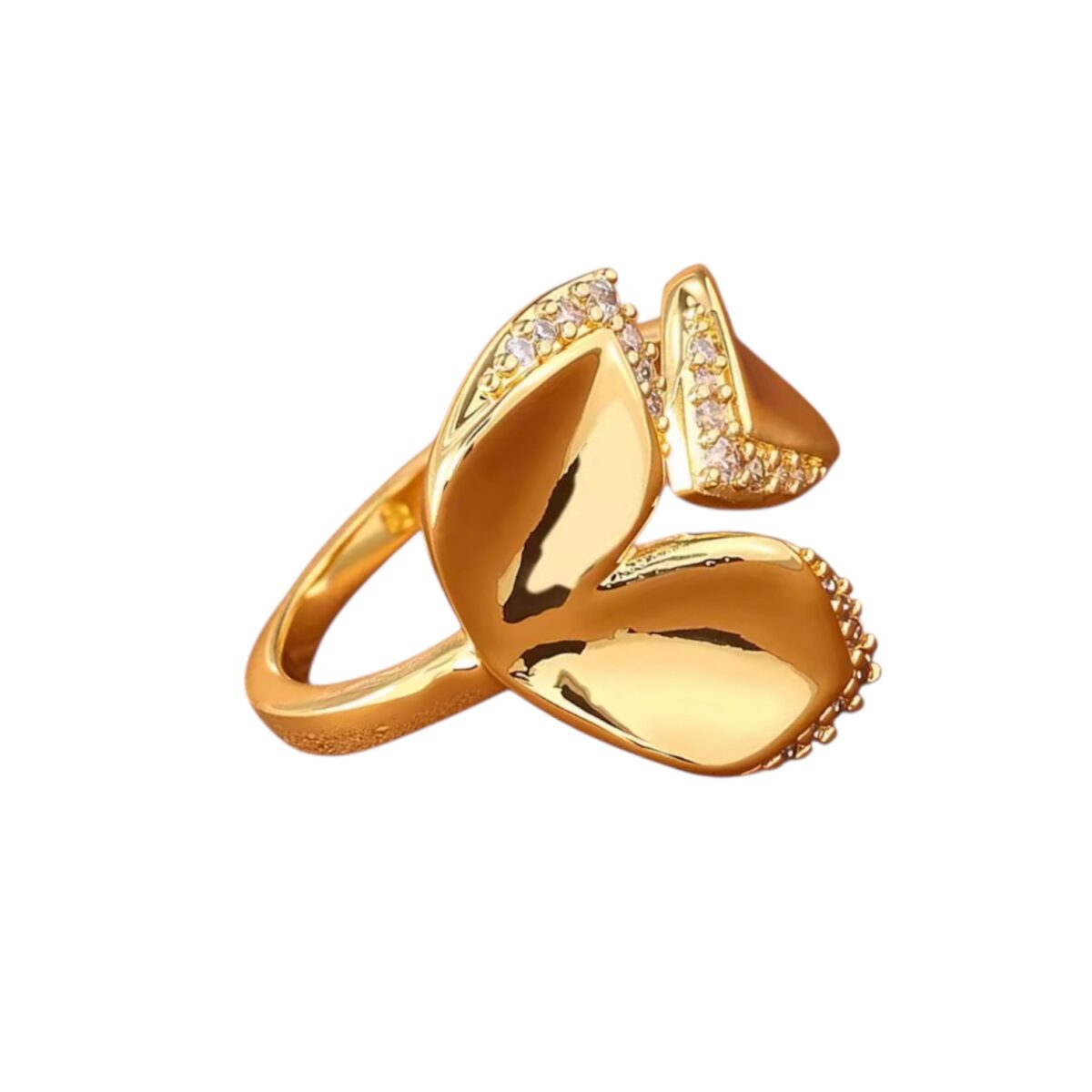 Photoroom_20251212_174623