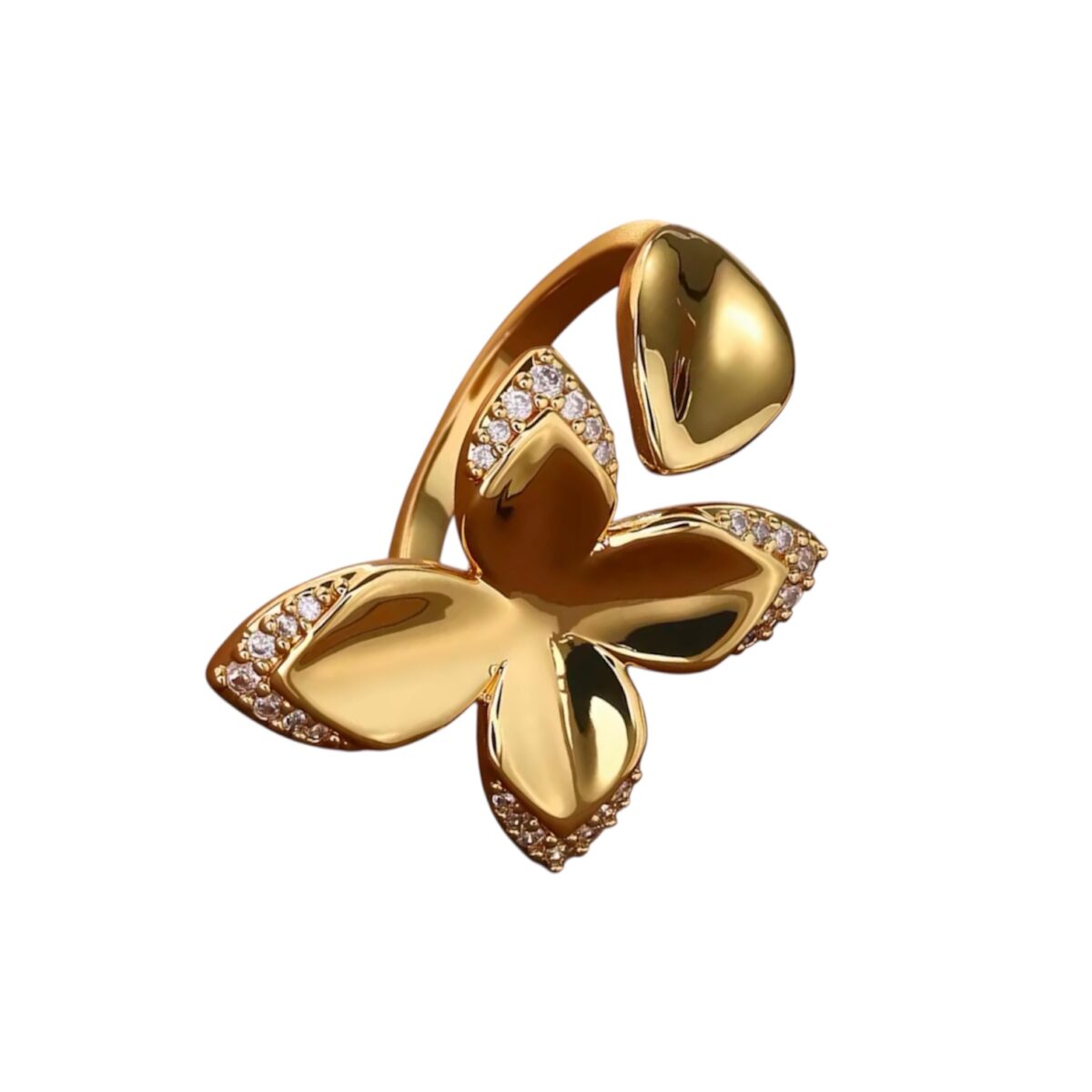 Photoroom_20251212_174817