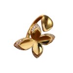 Photoroom_20251212_174817