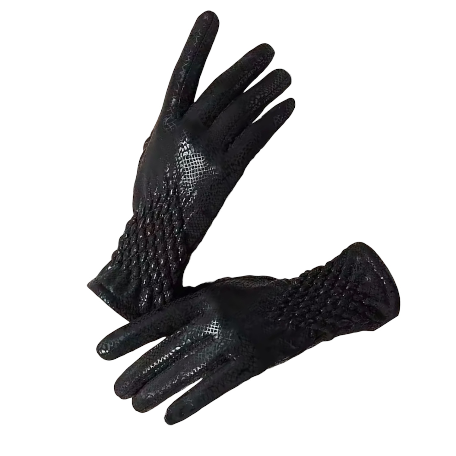 Photoroom_20251213_124134