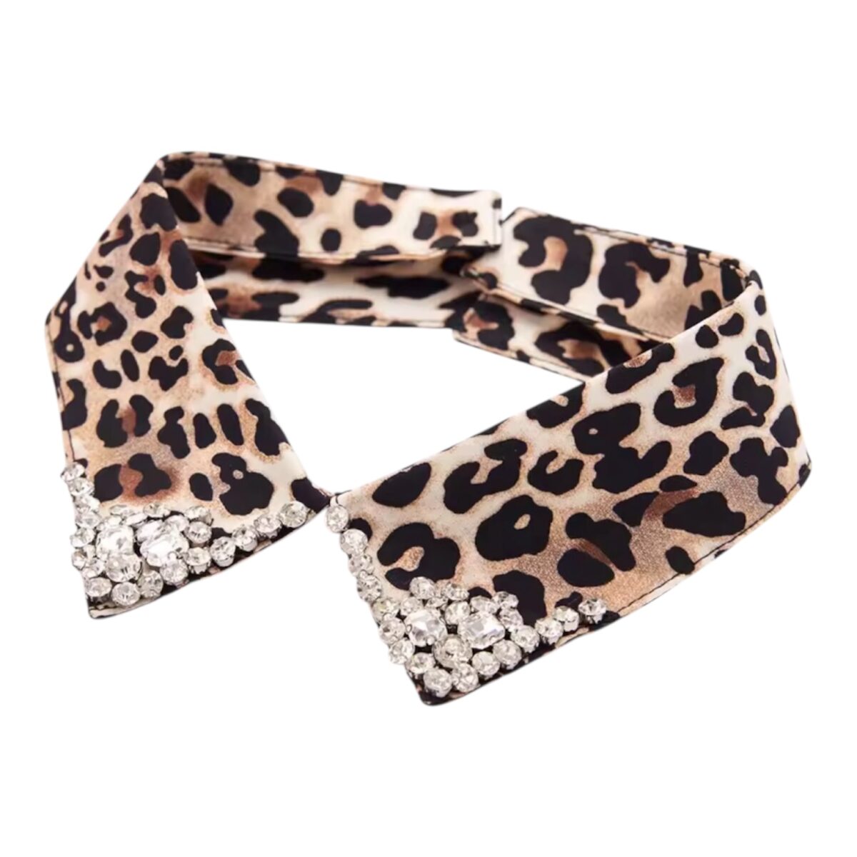 Photoroom_20260104_120108