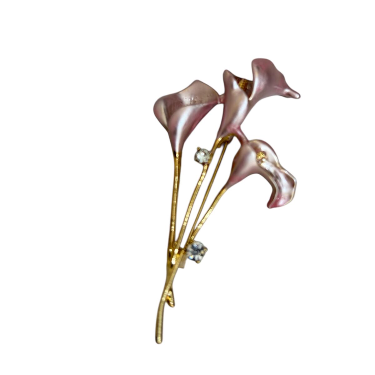 Photoroom_20260110_143506