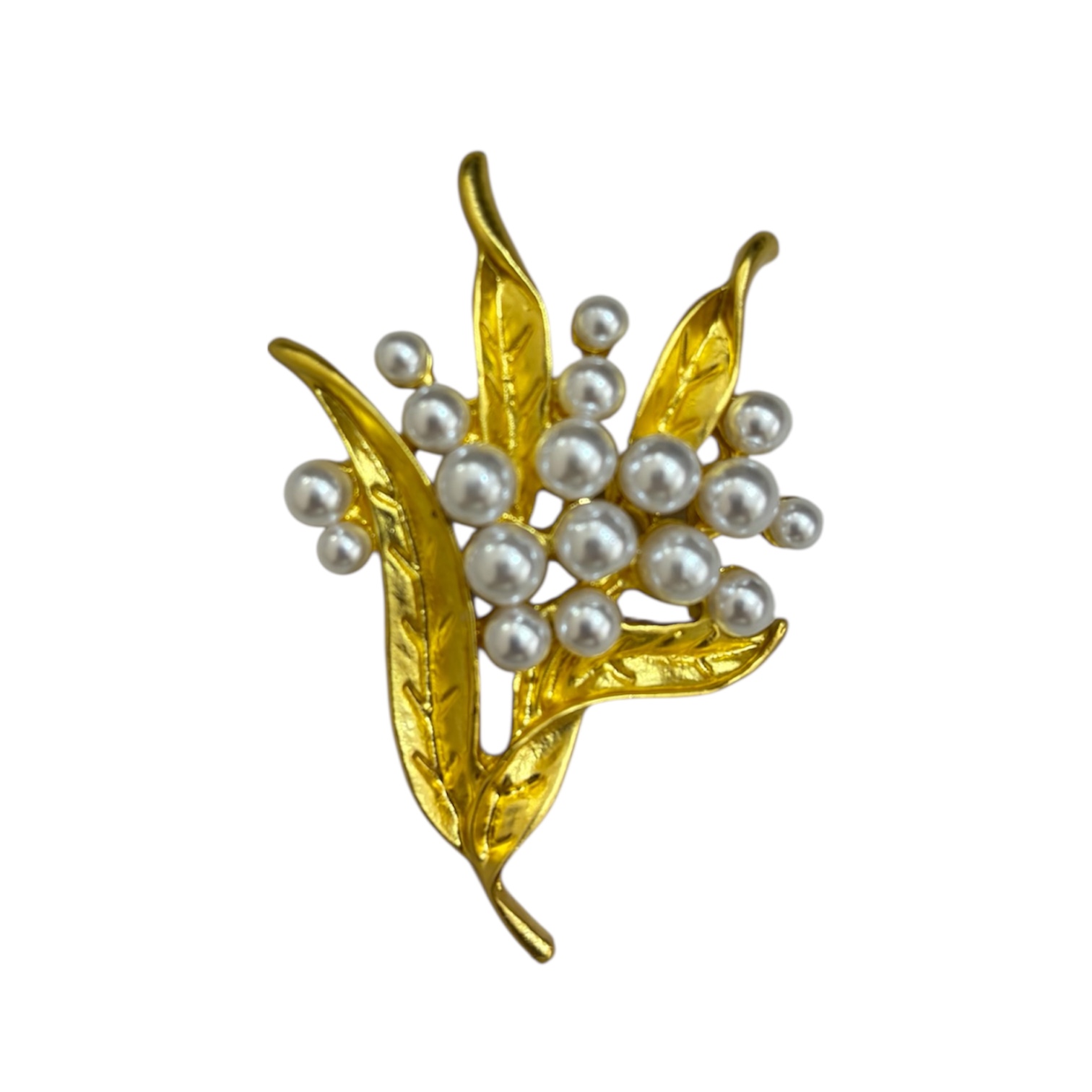 Photoroom_20260110_143725