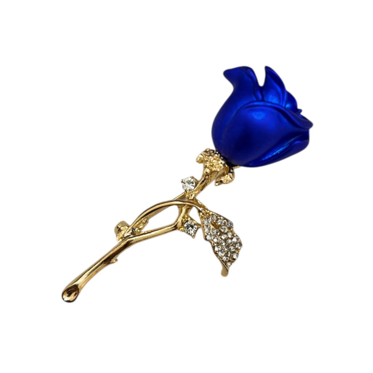 Photoroom_20260113_173648