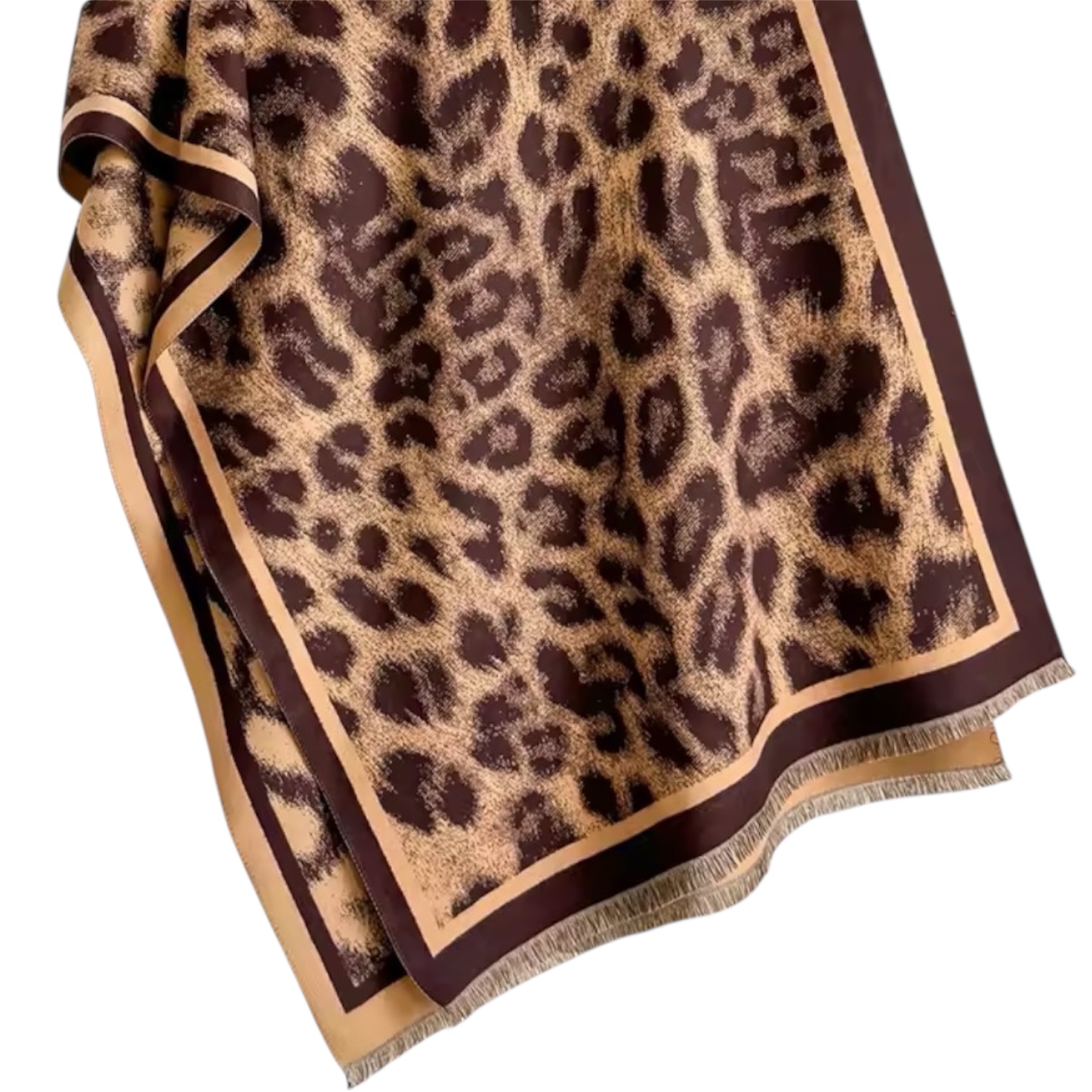 Photoroom_20260130_185918